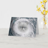 怒Cat 5ハリケーン カード (黄色い花)