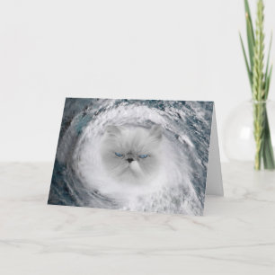 怒Cat 5ハリケーン カード