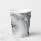 怒Cat 5ハリケーン 紙コップ (裏面)