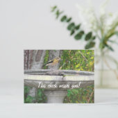 怒Looking Bird with your phrase ポストカード (スタンド正面)