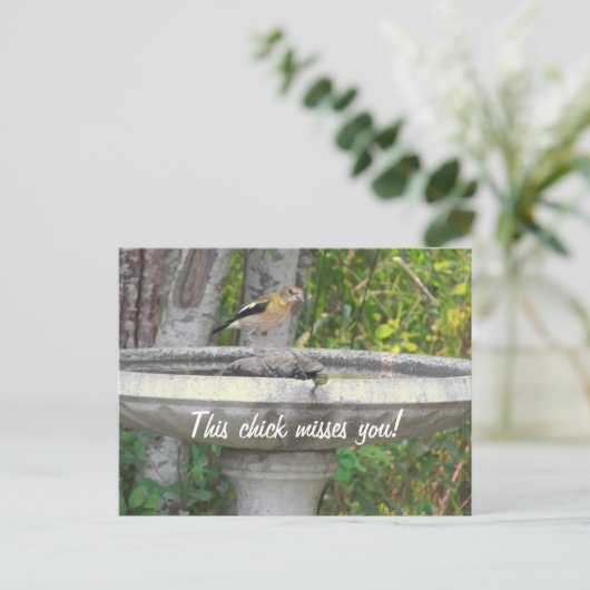 怒Looking Bird with your phrase ポストカード (スタンド正面)