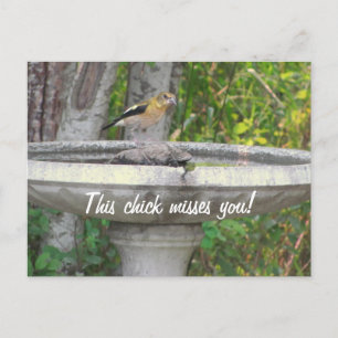 怒Looking Bird with your phrase ポストカード