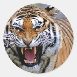 怒Tiger ラウンドシール