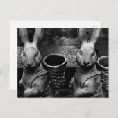 怖いイースターバニーウサギ ポストカード (正面/裏面)