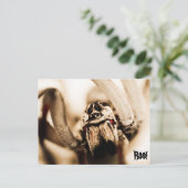 怖いオオカグモ ポストカード (スタンド正面)