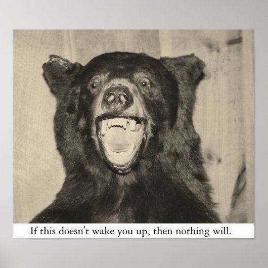 怖いクマ ポスター (正面)