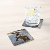 怖いジョーズ：オーストラリアのワニが飛び跳ね ペーパーコースター (インサイチュ)