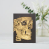 怖いスカル ポストカード (スタンド正面)