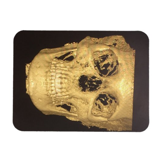 怖いスカル マグネット (横)