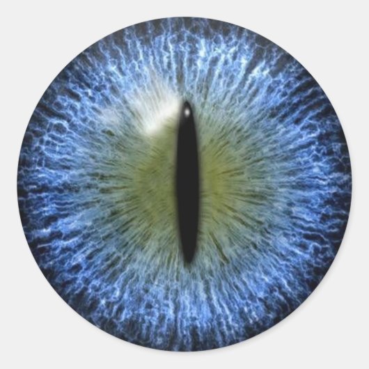 怖いハロウィーン猫眼球 ラウンドシール (正面)