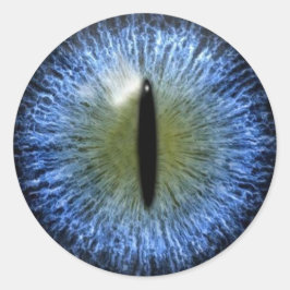 怖いハロウィーン猫眼球 ラウンドシール