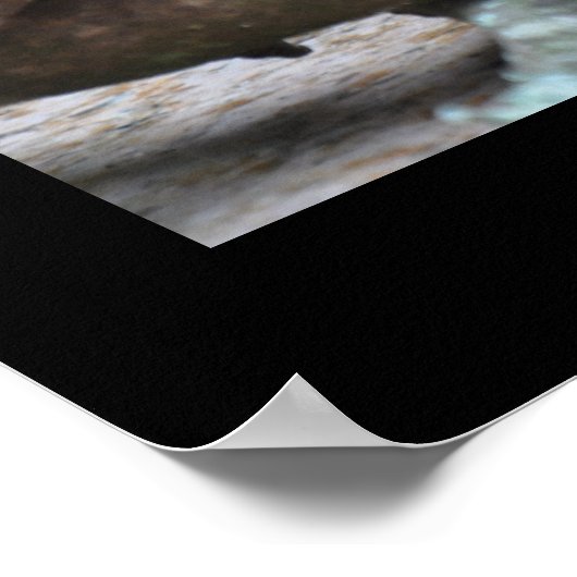 怖いポッサム – ポスター (角)