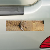 怖いラトルズナケの写真 バンパーステッカー (車上)