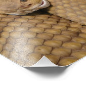 怖いラトルズナケの写真 フォトプリント            (角)