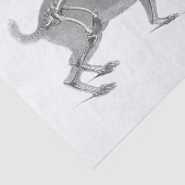 怖いヴィンテージバニー骨格 薄葉紙 (詳細)