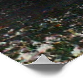 怖い妖精の国 ポスター (角)