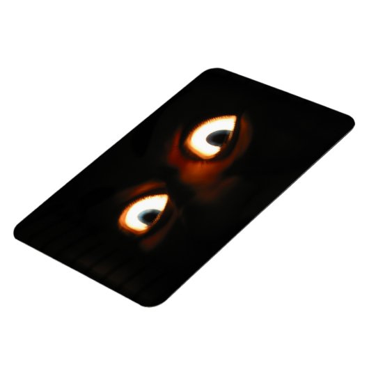 怖い目 マグネット (左側)