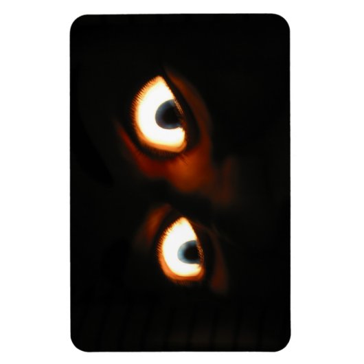 怖い目 マグネット (縦)
