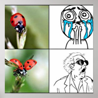 「怖い」ポスター ポスター