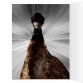 怖いEmuの視線を落とす、ジャンボ誕生日カード (内側(左))