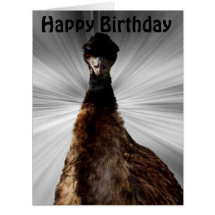怖いEmuの視線を落とす、ジャンボ誕生日カード