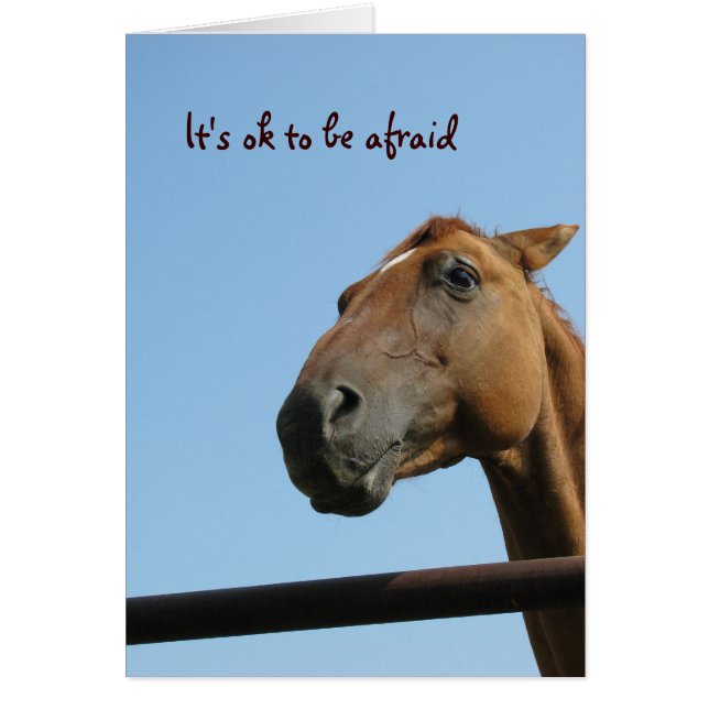 怖がっていいよ (正面)