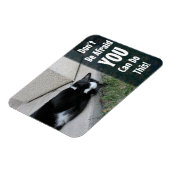 怖がらないで猫やる気を起こさせることわざ マグネット (左側)