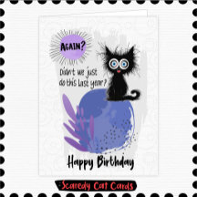 怖がり猫の誕生日