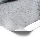 怖がる必要はない猫やる気を起こさせる引用文 ポスター (コーナー)