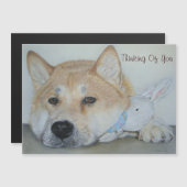 思いやりある美考えるしい秋田犬 (正面/裏面)