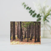 思いやりが大事 ポストカード (スタンド正面)