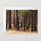 思いやりが大事 ポストカード (正面/裏面)