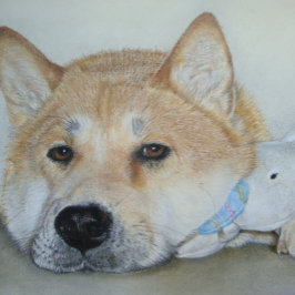 思いやりのある顔をした美しい秋田犬 ポストカード