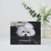 思いやりポストカード ポストカード (スタンド正面)