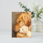 思い出のあなたが愛おしい悲しいゴールデンレトリバーのペット ポストカード (スタンド正面)