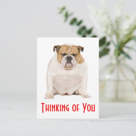 思い出のあなた 英語のブルドッグ子犬のポストカード ポストカード (スタンド正面)