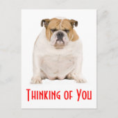 思い出のあなた 英語のブルドッグ子犬のポストカード ポストカード (正面)