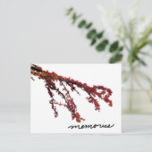 思い出のある赤い木の枝 ポストカード (スタンド正面)