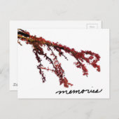 思い出のある赤い木の枝 ポストカード (正面/裏面)