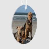 思い出のペットへのメモリアル　ハートの足跡 オーナメント (正面)