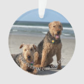 思い出のペットへのメモリアル　ハートの足跡 オーナメント (正面)