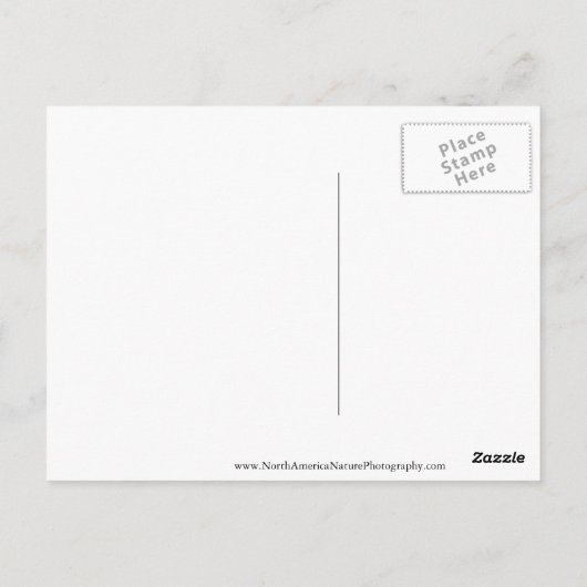 思い出の作成マップポストカード ポストカード (裏面)