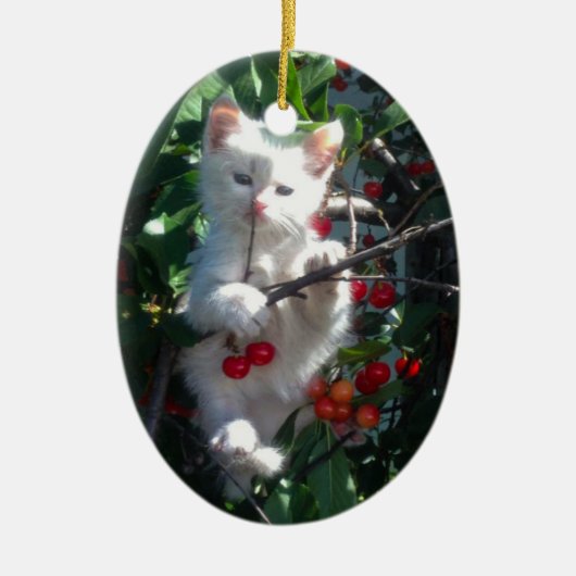 思い出の家族の猫の片面写真 セラミックオーナメント (正面)