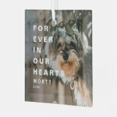 思い出の愛犬のフォトメモリアル ガラスオーナメント (正面左)