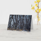 「思い出の道」クリスマスカード カード (黄色い花)