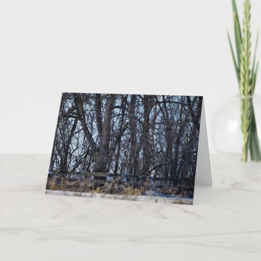 「思い出の道」クリスマスカード カード (正面)