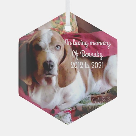 思い出を愛してペットを愛して ガラスオーナメント (正面)