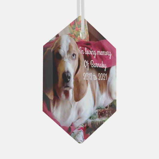 思い出を愛してペットを愛して ガラスオーナメント (正面右)