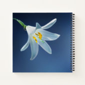 思い出を愛して |お葬式、メモリアルゲストブック ノートブック (裏面)