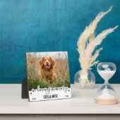 思い出を愛しモダンて記念碑 フォトプラーク (インサイチュ)